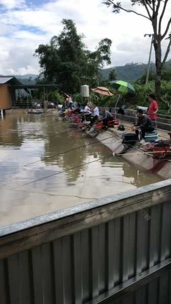 振山钓鱼怎么样，振山教育-图3