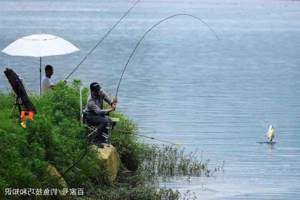 最近天气怎么样钓鱼？最近天气怎么样钓鱼最好？-图2