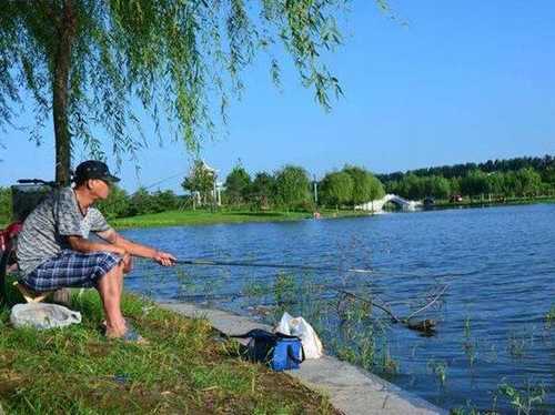 邯郸夏天钓鱼怎么样？邯郸市附近野钓的好地方？-图3