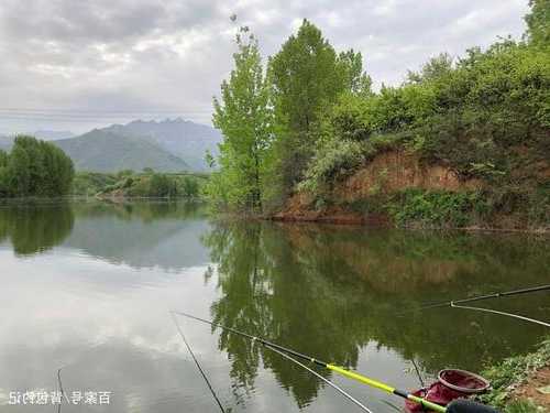 秦岭冬天钓鱼怎么样？冬季秦岭好去处？-图2