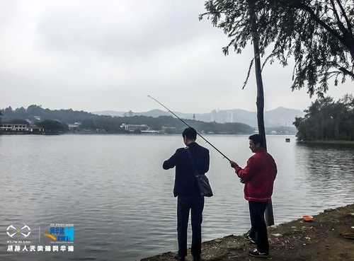 广州南湖钓鱼怎么样？广州南湖钓鱼怎么样好钓吗？-图2