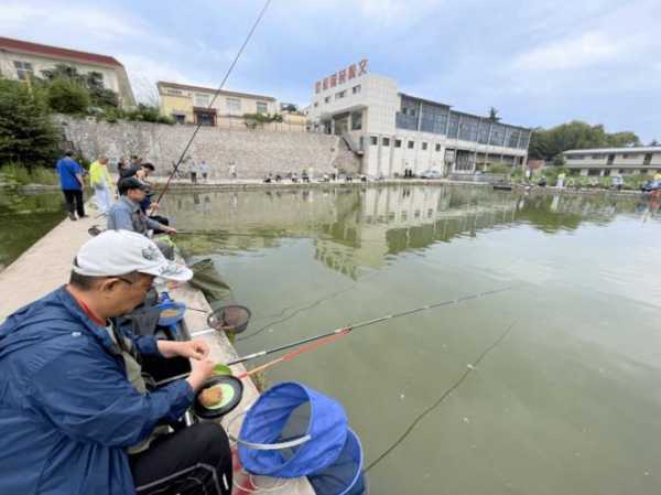 安阳钓鱼现状怎么样，安阳钓鱼2021！-图1