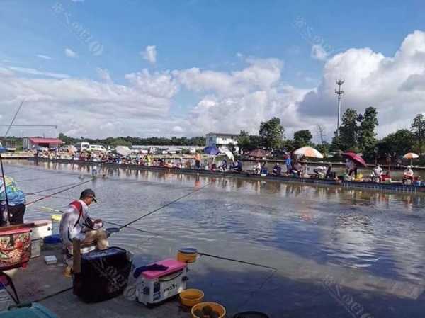 广场水池钓鱼怎么样，广场钓鱼池图片！-图1