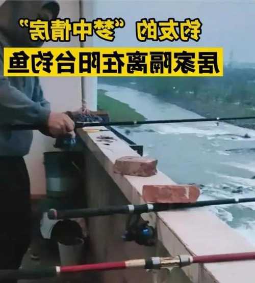 在阳台钓鱼怎么样？阳台上钓鱼？-图3