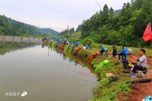 重庆山泉钓鱼怎么样，重庆山泉钓鱼怎么样知乎！-图1