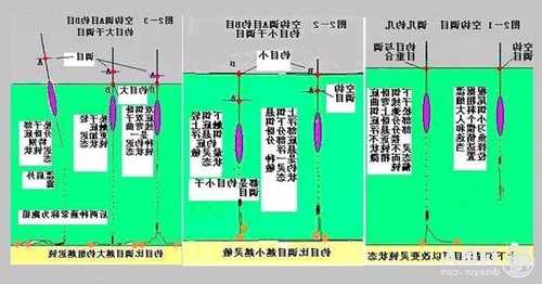 怎么样搭配鱼漂钓鱼？钓鱼如何选用鱼漂？-图3