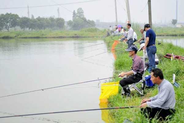 中国现在钓鱼怎么样，现在钓鱼的人越来越多了-图3