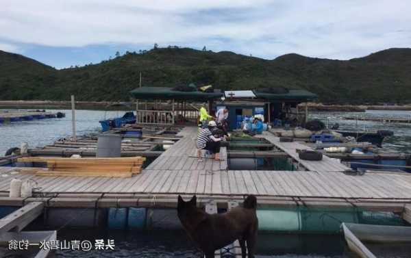 福建钓鱼漳州怎么样，漳州海钓点-图2