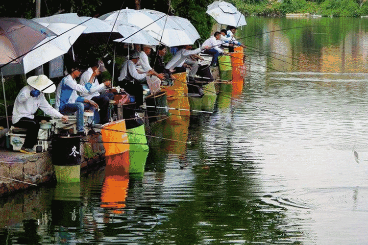 相约桥钓鱼怎么样？冬亮复出散关围陈仓曹真拒之？-图3