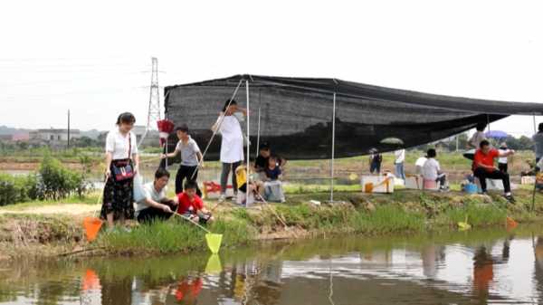 吴江钓鱼钓虾怎么样？吴江钓龙虾地方？-图3