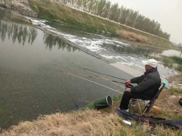 漯河近期钓鱼怎么样，漯河近期钓鱼怎么样呀？-图1