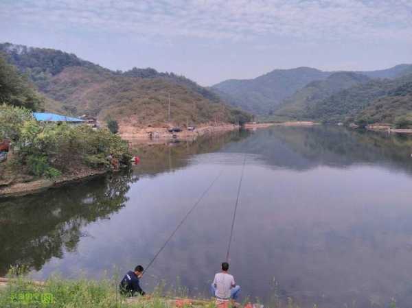 西村河里钓鱼怎么样，西村景点！-图2