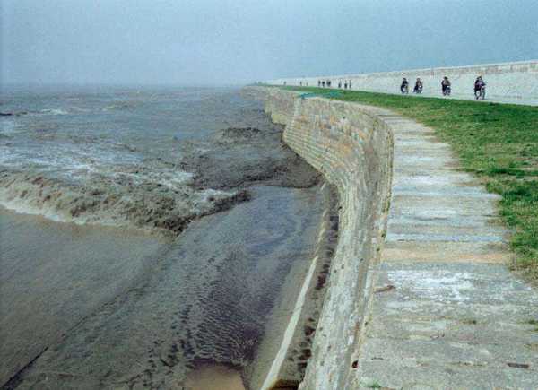 海塘观景台钓鱼怎么样，海塘绿道！-图3