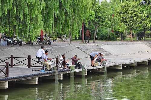 白河岛上钓鱼怎么样？白河湾钓鱼？-图3