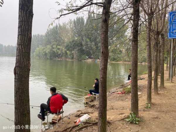 白河岛上钓鱼怎么样？白河湾钓鱼？-图2