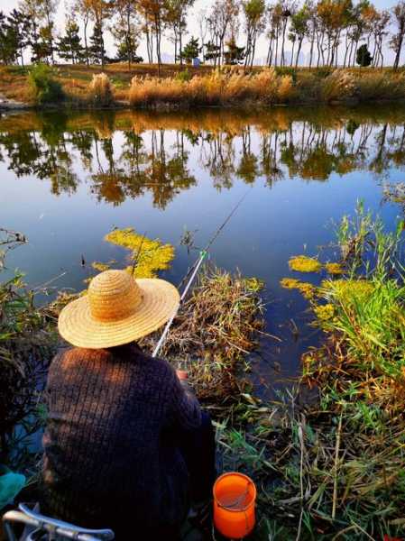 芦花湿地钓鱼怎么样，芦花风景区-图3