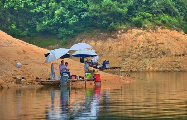 幸福水口钓鱼怎么样，幸福水库钓鱼多少钱一天-图3