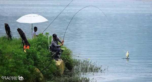 江河走船钓鱼怎么样？江河走水用什么鱼饵？-图2