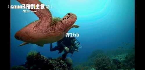 海王池塘钓鱼怎么样，海王钓鱼技巧-图1