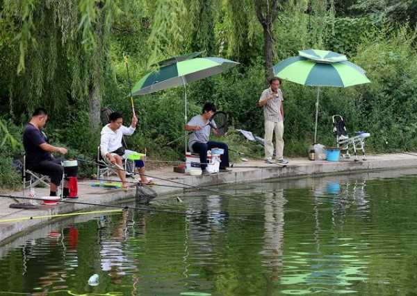 阳光钓鱼饭店怎么样？韩城阳光垂钓园？-图1