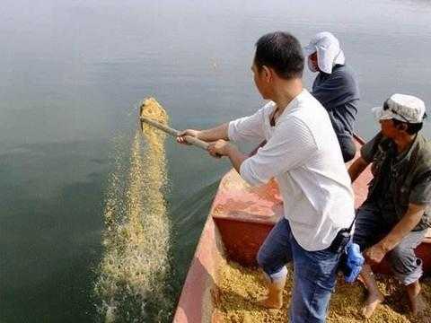 冬季肥水怎么样钓鱼，冬天肥水怎么钓-图1