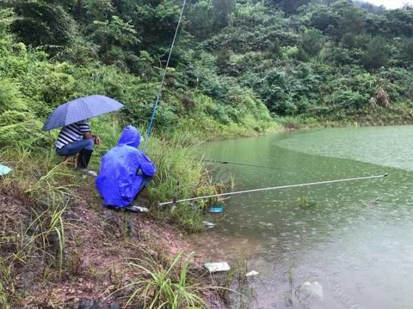 青阳下雨钓鱼怎么样，青阳水库钓区！-图3