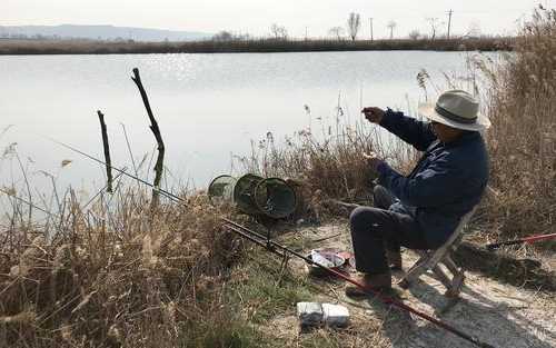 芦苇怎么样钓鱼好，如何在钓芦苇丛钓鱼！-图1