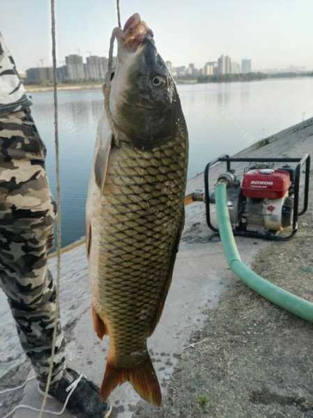 今年钓鱼运气怎么样，今年钓鱼运气怎么样啊！-图3