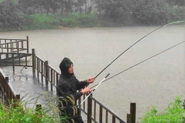 阴天雨后钓鱼怎么样，下雨过后的阴天野钓怎么玩-图3