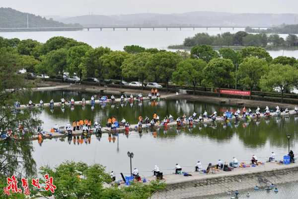 西湖野趣钓鱼怎么样，西湖钓位在哪！-图3