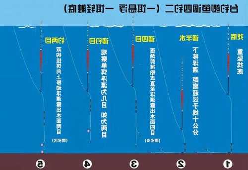 怎么样调钓鱼料，钓鱼鱼料怎么调视频教程-图2