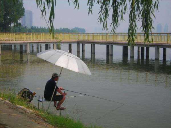 和小雨钓鱼怎么样，小雨钓鱼钓深还是钓浅-图2