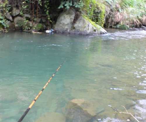 清水里钓鱼怎么样，清水鱼垂钓？-图1