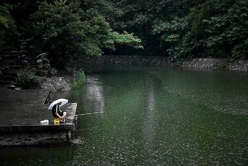 谷雨阴天钓鱼怎么样，谷雨以后钓鱼是钓底好还是钓离底好？-图3