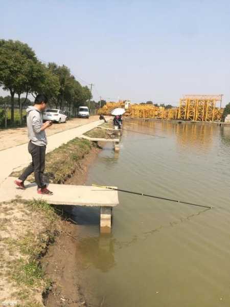 奉贤花园钓鱼怎么样？奉贤花园钓鱼怎么样呀？-图2