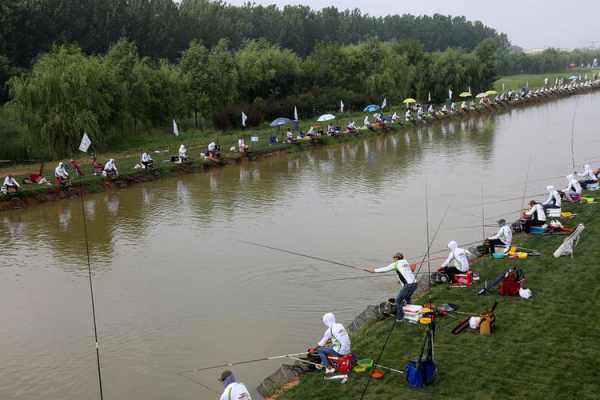 滨江湿地钓鱼怎么样，滨江湿地钓鱼怎么样啊？-图3