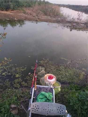 沙子铺底钓鱼怎么样，底部铺一层沙子？-图2