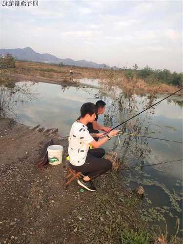 沙子铺底钓鱼怎么样，底部铺一层沙子？-图3