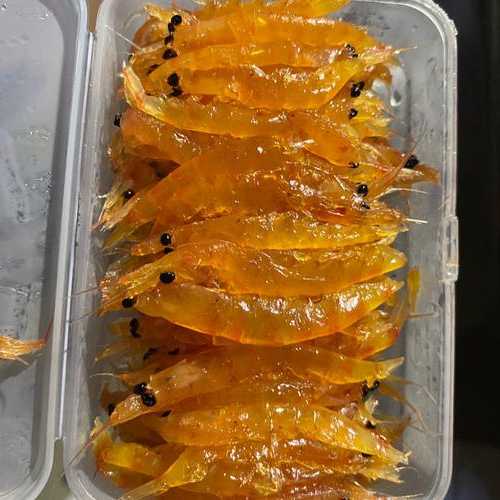 干虾钓鱼怎么样，干虾可以做海钓鱼饵？-图1