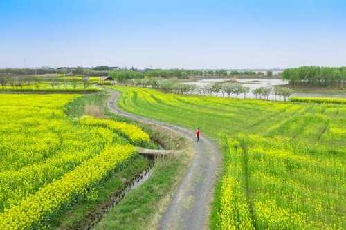 溧阳小岛钓鱼怎么样，溧阳小岛钓鱼怎么样呀-图3