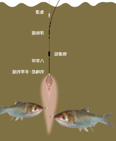 新型鱼钩钓鱼怎么样，新型钓鱼方法-图1