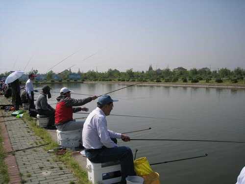 水库小屋钓鱼怎么样？小水库野钓？-图1