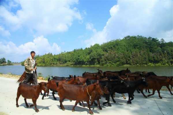 梁河河边钓鱼怎么样，梁河县钓鱼地方？-图2