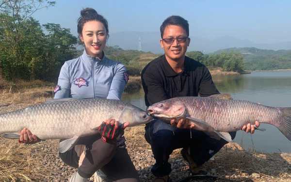 理论大师钓鱼怎么样？什么是理论大师？-图1