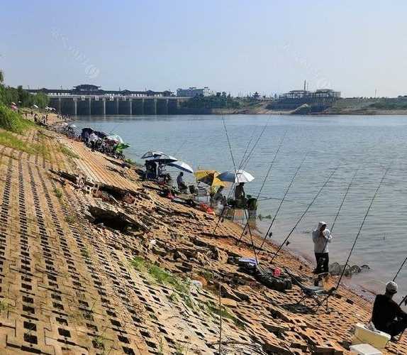 西岸水闸钓鱼怎么样？西岸水闸钓鱼怎么样啊？-图3