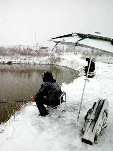 大雪过后钓鱼怎么样，下大雪钓鱼的图片-图2