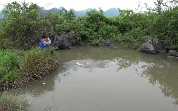 钓鱼的鱼塘怎么样，钓鱼的鱼塘怎么样才能钓鱼-图2