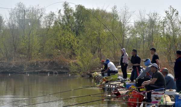 卧虎山鱼塘钓鱼怎么样，卧虎山垂钓？-图3