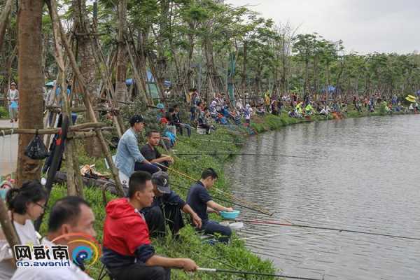 去海口钓鱼怎么样，海口钓鱼好去处不收费-图1