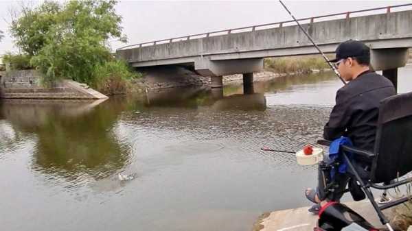 路边小王钓鱼怎么样，路边小王钓鱼怎么样啊？-图3